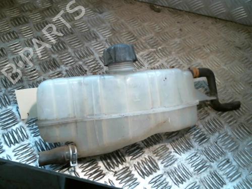 Used Expansion tank RENAULT CLIO III (BR0/1, CR0/1) 1.5 dCi (C/BR0G, C/BR1G) (68 hp) 25259105