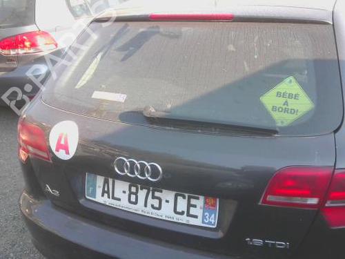 Used Tailgate AUDI A3 Sportback (8PA) 1.6 TDI (105 hp) 28053699
