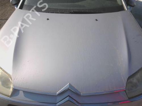 Used Hood CITROËN C5 III (RD_) 2.0 HDi 140 (RDRHF8, RDRHFA, RDRHA8, RDRHAJ) (140 hp) 27980762