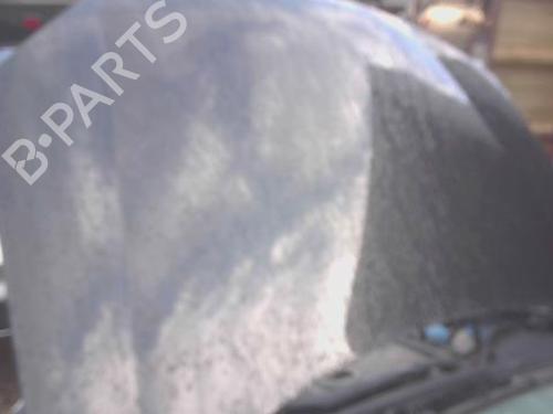 Capot VW GOLF V (1K1) 1.9 TDI (105 hp) 32019878