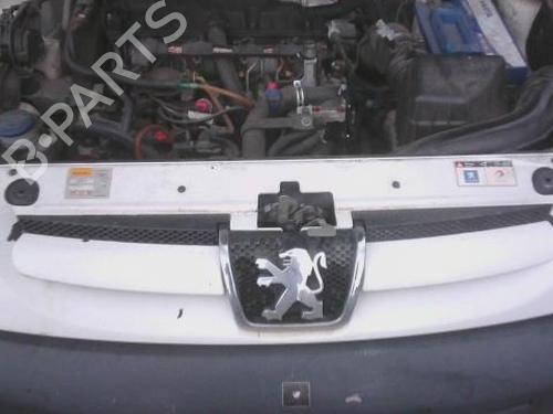 grille-peugeot-partner-mpv-5_-g_-1996-30712353 main image