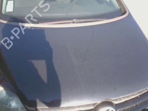 Used Hood VW GOLF PLUS V (5M1, 521) 1.9 TDI (105 hp) 27647442