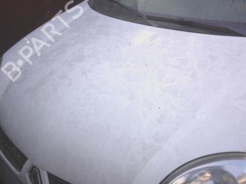 Used Hood Hood RENAULT KANGOO Express (FC0/1_) 1.2 16V (FC05, FC0W, FC1D, FC1P, FC1K, FC0T) (75 hp) 34167367 34167367