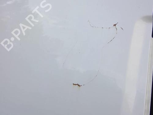 Used Right slide door VW CADDY III Box Body/MPV (2KA, 2KH, 2CA, 2CH) 1.9 TDI (105 hp) 22892001