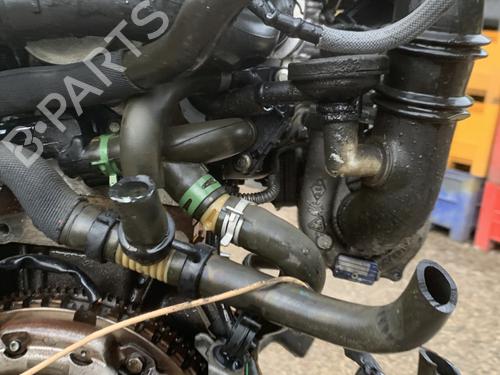 Engine RENAULT KANGOO Express (FC0/1_) 1.5 dCi (FC07, FC1R) | BP29005280M1 