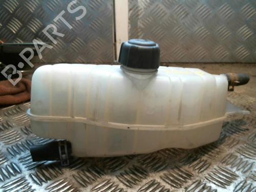 Used Expansion tank RENAULT CLIO III (BR0/1, CR0/1) 1.5 dCi (BR17, CR17) (86 hp) 20993292