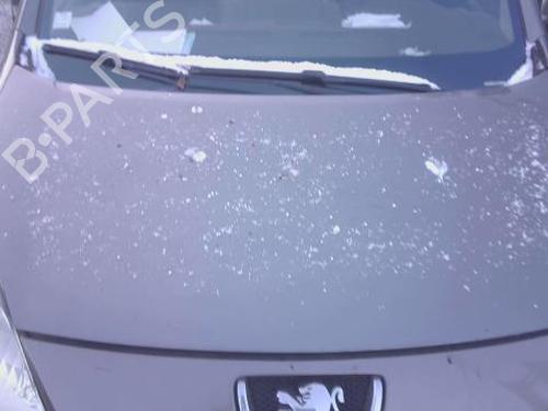 Capot PEUGEOT PARTNER Tepee 1.6 HDi 75 (16V) (75 hp) 31306131