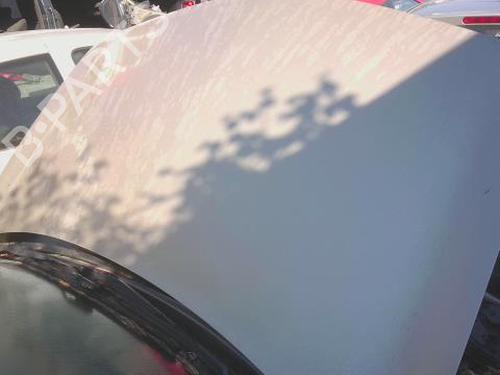 Capot Capot RENAULT MEGANE II Saloon (LM0/1_) [2003-2026] 33805658 33805658