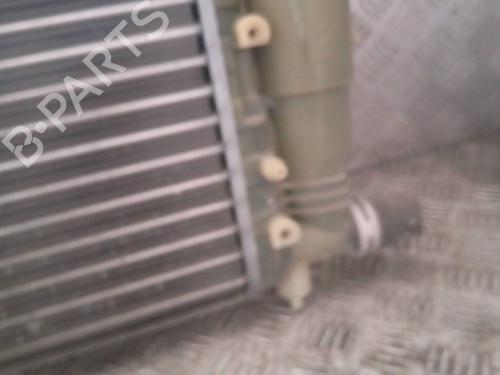 Used Water radiator Water radiator PEUGEOT 106 I (1A, 1C) 1.0 (50 hp) 22056850 22056850