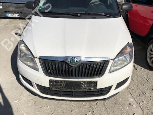 Expansion tank SKODA FABIA II Combi (545) 1.2 | BP21000367C120 