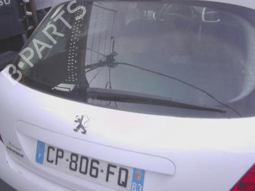 Used Tailgate PEUGEOT 207 (WA_, WC_) 1.4 (73 hp) 30650693