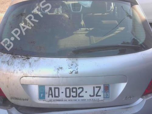 Used Tailgate PEUGEOT 207 (WA_, WC_) 1.6 HDi (90 hp) 28689329