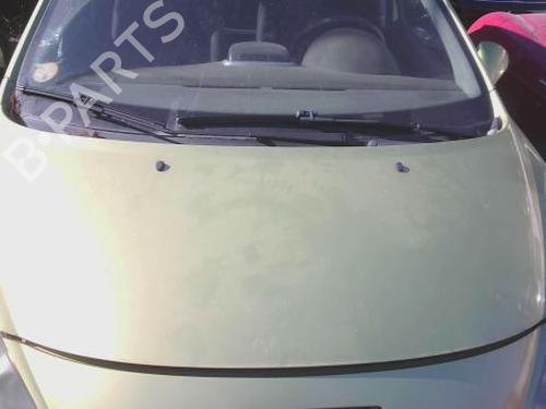 Used Hood PEUGEOT 207 (WA_, WC_) 1.6 HDi (90 hp) 27693649