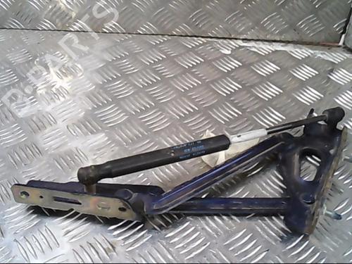 Used Hinge/Door check strap PEUGEOT 407 (6D_) 2.0 HDi 135 (6DRHRH, 6DRHRE, 6DRHRG, 6DRHRJ) (136 hp) 21001299