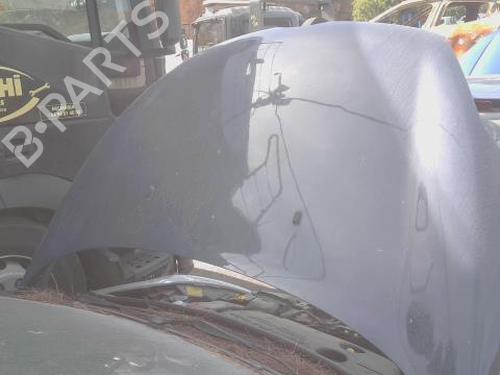 Used Hood Hood FORD FIESTA VI (CB1, CCN) 1.4 TDCi (70 hp) 35965111 35965111