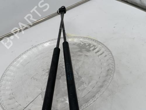 Amortiguador portón/maletero FORD FOCUS C-MAX (DM2) 1.8 TDCi (115 hp) 30006502