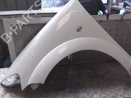 Used Left front fenders CITROËN C3 I (FC_, FN_) 1.4 HDi (68 hp) 24113160