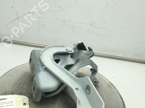 hingedoor-check-strap-dacia-sandero-iii-2021-30444093 main image