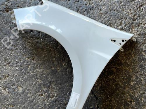 Used Left front fenders RENAULT CLIO III (BR0/1, CR0/1) 1.4 16V (98 hp) 20992258