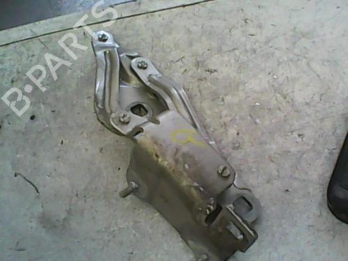 Used Hinge/Door check strap RENAULT GRAND SCÉNIC II (JM0/1_) 1.5 dCi (JM1E) (106 hp) 20991713