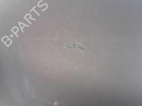 Left front fenders RENAULT CLIO III (BR0/1, CR0/1) 1.5 dCi (C/BR0G, C/BR1G) | BP29889204C41