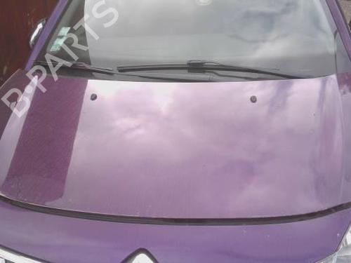 hood-citroen-c3-ii-sc_-2009-32520827 main image