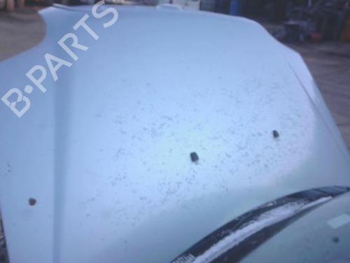 Used Hood FIAT DOBLO MPV (119_, 223_) 1.3 JTD 16V (70 hp) 31308750