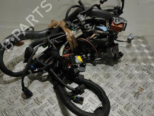 Used Wiring harness CITROËN C5 III (RD_) 2.0 HDi (RDRHD8, RDRHDJ, RDRHR8, RDRHRJ) (136 hp) 21858534