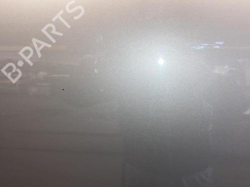 Right front door SKODA FABIA II (542) 1.4 TDI | BP20871265C3 