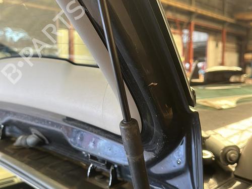 Tailgate lift support VOLVO V50 (545) 1.6 D | BP25844409C138