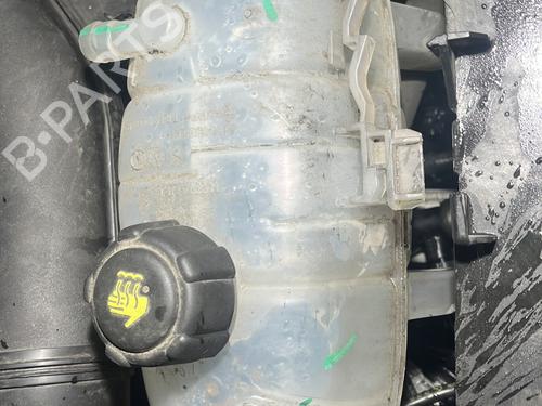 Used Expansion tank RENAULT TRAFIC III Van (FG_) 2.0 dCi 120 (FGMN) (120 hp) 27161654