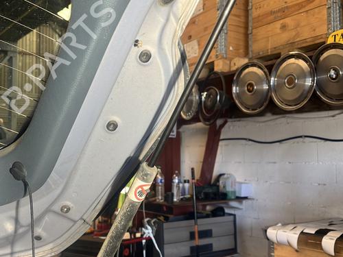 Used Tailgate lift support FORD C-MAX II (DXA/CB7, DXA/CEU) 1.6 TDCi (95 hp) 26739888