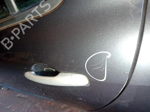 Left rear door RENAULT CLIO III (BR0/1, CR0/1) 1.5 dCi (BR17, CR17) | BP21866090C4 