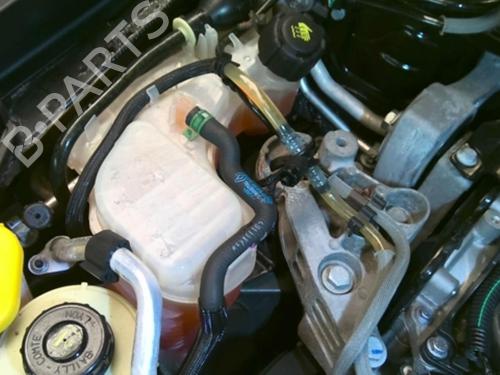 Expansion tank RENAULT LAGUNA III Grandtour (KT0/1) 2.0 dCi GT (KT11, KT1E, KT1N) 217100014R