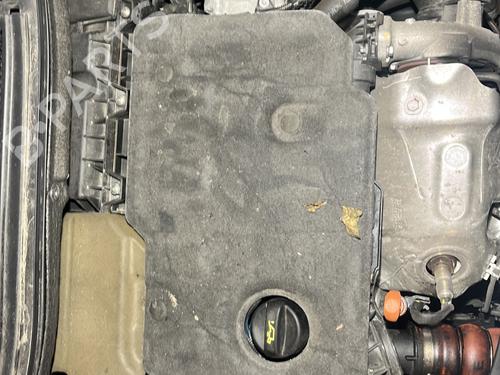 Motor PEUGEOT 2008 I (CU_) 1.5 BlueHDI 120 (120 hp) 28190807