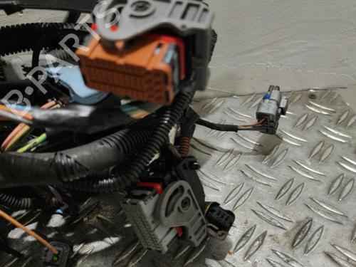 Used Wiring harness Wiring harness CITROËN C5 III (RD_) 2.0 HDi (RDRHD8, RDRHDJ, RDRHR8, RDRHRJ) (136 hp) 21858534 21858534