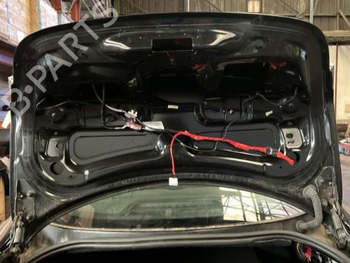Tailgate JAGUAR XF I (X250) 3.0 D | BP21864249C6 