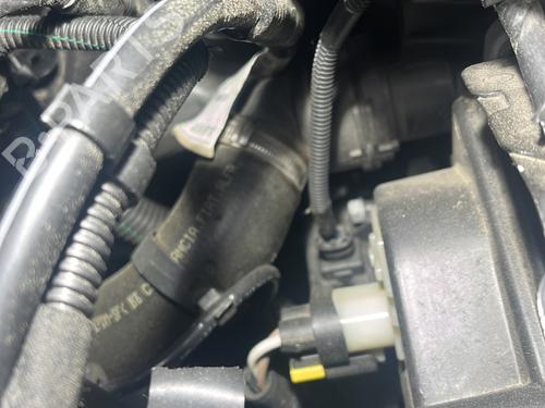 Water radiator FIAT BRAVO II (198_) 1.6 D Multijet (198AXL1B) | BP29477994M31 