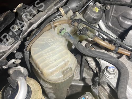 Ekspansjonstank RENAULT LAGUNA Coupe (DT0/1) 3.0 dCi | BP29894010C120 