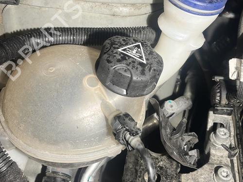 Windscreen washer tank PEUGEOT 208 I (CA_, CC_) 1.5 BlueHDI 100 | BP28543553C113