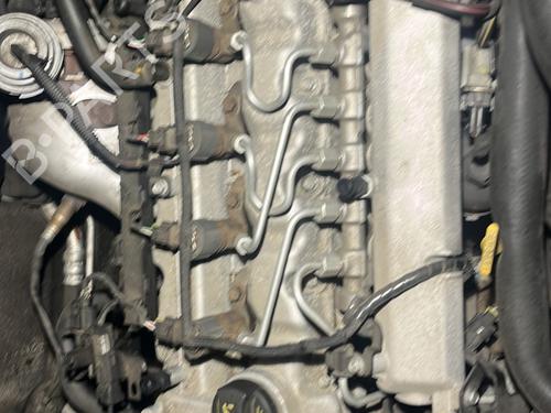 Used Injection pump KIA CEE'D SW (ED) 1.6 CRDi 115 (115 hp) 31019251