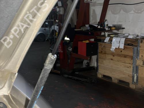 tailgate-lift-support-citroen-c3-ii-sc_-2009-30708761 main image