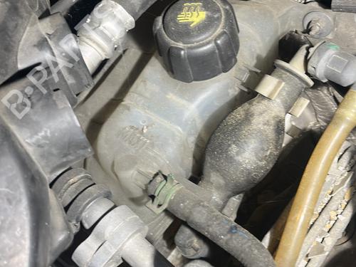 Used Expansion tank RENAULT GRAND SCÉNIC III (JZ0/1_) 1.5 dCi (JZ09, JZ0D, JZ10, JZ14, JZ1G, JZ29, JZ2C) (110 hp) 29373060