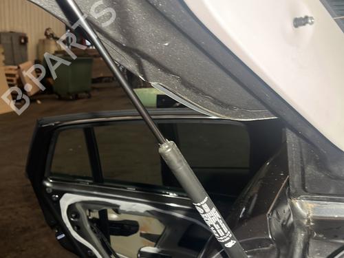 Used Tailgate lift support FIAT BRAVO II (198_) 1.6 D Multijet (198AXL1B) (120 hp) 29477965