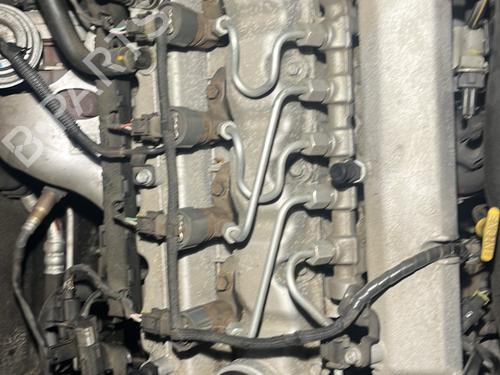 Used Injector KIA CEE'D SW (ED) 1.6 CRDi 115 (115 hp) 31019246