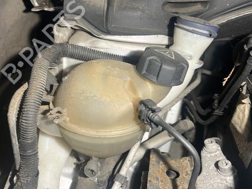 Ekpansionstank PEUGEOT 207 (WA_, WC_) 1.6 HDi (90 hp) 31974714