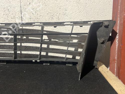 Grille RENAULT CLIO III (BR0/1, CR0/1) 1.2 16V Hi-Flex (BR1U, CR1U) | BP29446559C40 