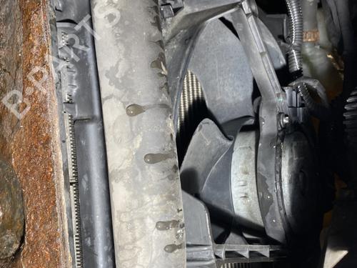 Used Radiator fan RENAULT CLIO III (BR0/1, CR0/1) 1.5 dCi (C/BR0G, C/BR1G) (68 hp) 25275779