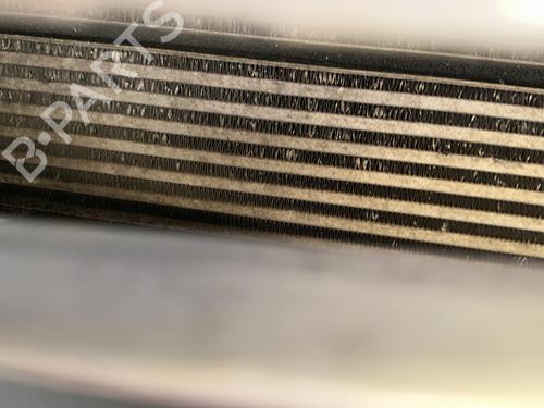 Used Intercooler RENAULT GRAND SCÉNIC III (JZ0/1_) 1.9 dCi (JZ0J, JZ0N, JZ1K, JZ1S) (131 hp) 25844025