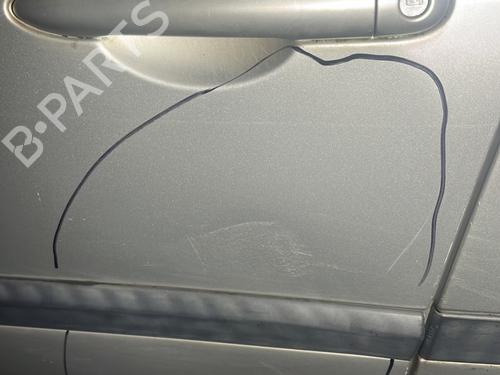 Left front door RENAULT CLIO III (BR0/1, CR0/1) 1.2 16V Hi-Flex (BR1U, CR1U) | BP29428646C2 